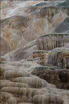 Mammoth Hot Springs Yellowstone NP